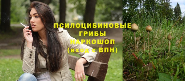 ALPHA-PVP Няндома